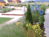 Zahrada Jičín (2 roky po výsadbě)