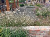 Zahrada Pševes - cihlová zídka, výsadby